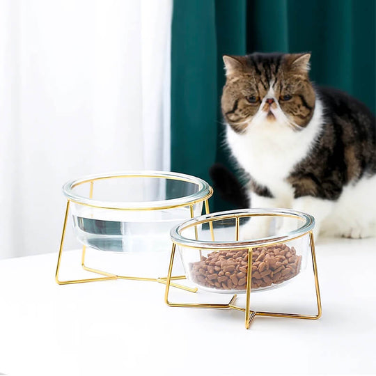 luxury_pet_bowl_06_540x.jpg?v=