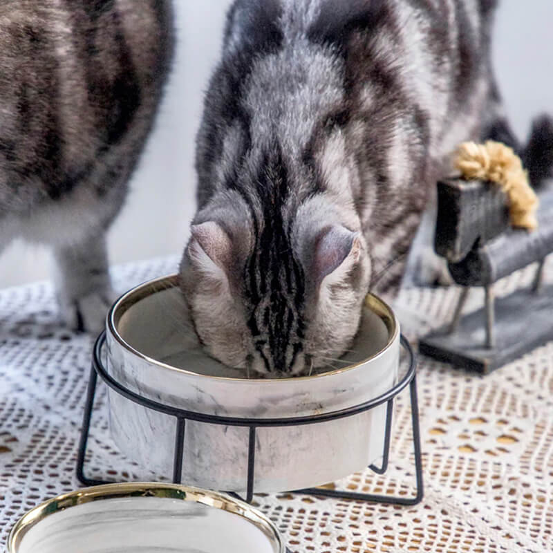 CHANEL ノベルティ ペットボウル 犬 猫 フードボウル 餌入れ シャネル シャネル ペット食器 犬猫フードボウル 高级感 ステンレス
